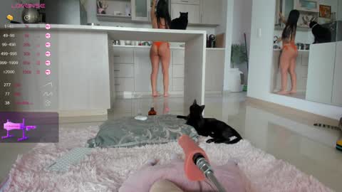 insta Laupalacio777Next stream 01th December online show from December 2024 12:44:02 PM