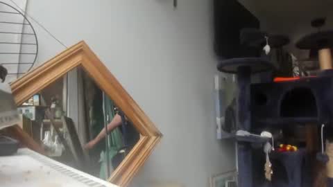 handncocknocum online show from February 2025 09:24:01 AM