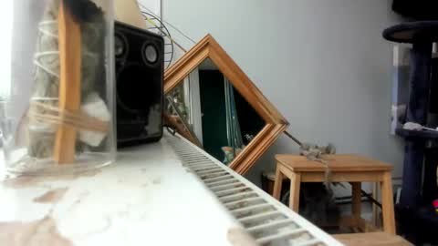 handncocknocum online show from February 2025 09:06:02 AM