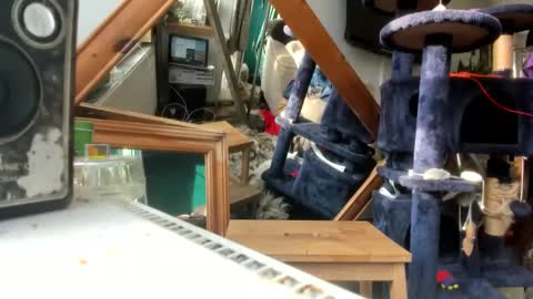 handncocknocum online show from March 2025 08:18:02 AM