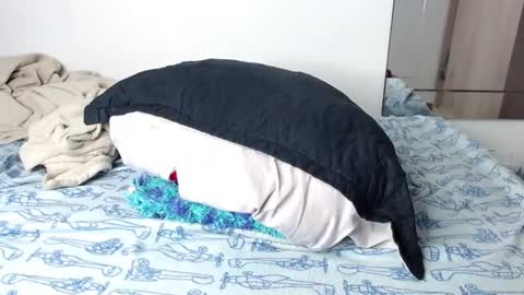 jorge daniel online show from January 2025 01:06:02 PM