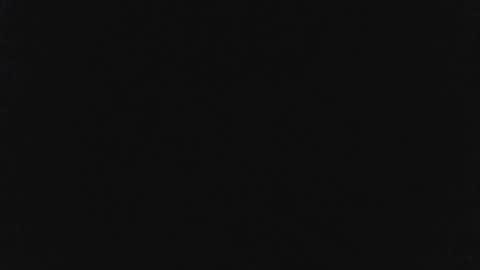 hans10967 online show from January 2025 09:50:02 AM