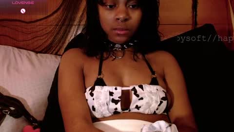 meatwad online show from March 2025 02:15:02 PM