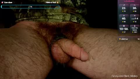 hard_mickey online show from February 2026 04:57:02 AM