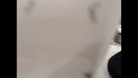 hardandhorny422 online show from October 2025 12:59:01 PM