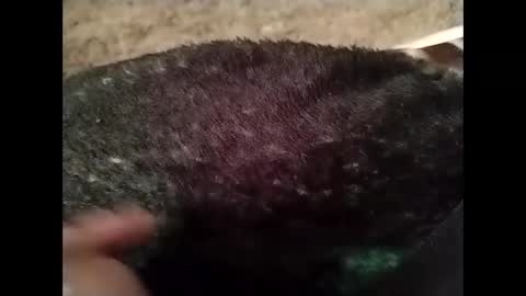 hardandhorny422 online show from October 2025 05:24:02 PM