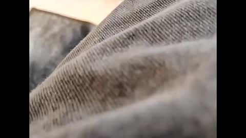 hardandhorny422 online show from October 2025 11:55:01 AM