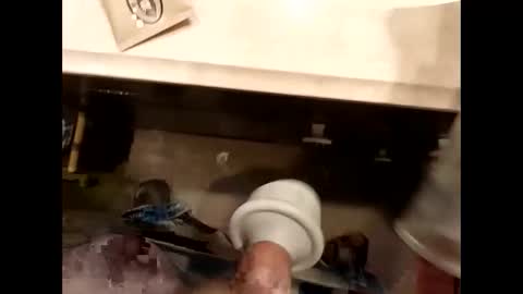 hardforu8675 online show from April 2026 02:00:02 PM