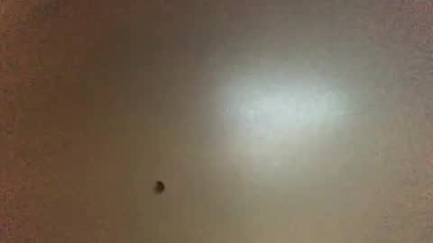 For You online show from February 2026 11:36:02 PM