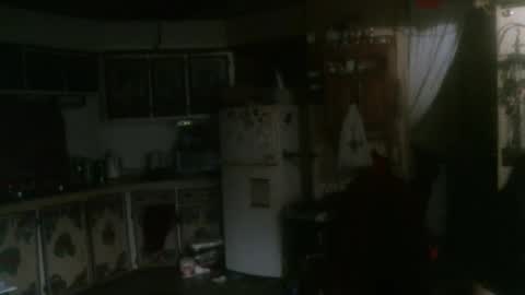 Snapshot of hardinhand44 chatting on January 2025 03:09:02 AM john nobles online show from January 2025 03:09:02 AM