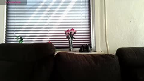Snapshot of hardmrlazy chatting on July 2026 01:35:02 PM MrLazy online show from July 2026 01:35:02 PM
