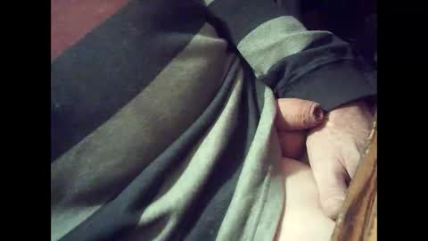 harold4848 online show from February 2025 05:18:02 PM