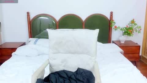 Snapshot of harriethelen chatting on February 2026 02:49:01 AM helen online show from February 2026 02:49:01 AM