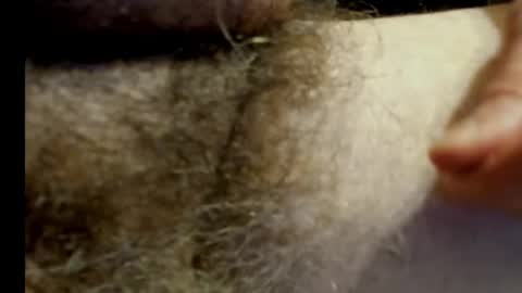 Snapshot of harry_banana chatting on January 2025 11:10:02 PM harry_banana online show from January 2025 11:10:02 PM