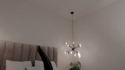 Snapshot of harryy_joness chatting on January 2025 05:37:01 PM Harry Jones online show from January 2025 05:37:01 PM