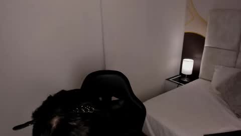 Snapshot of has_gonzalezz chatting on November 2025 04:46:02 AM has_gonzalezz online show from November 2025 04:46:02 AM