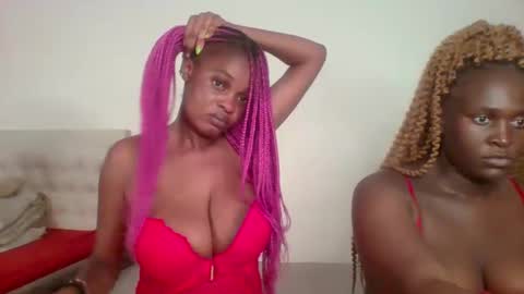 Havanna online show from December 2024 04:39:02 PM