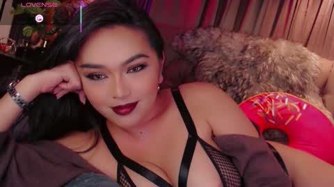 HAYFA online show from October 2025 07:09:02 AM