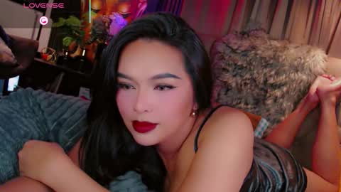 HAYFA online show from November 2025 06:45:02 AM