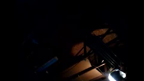 hbdj2164 online show from November 2025 08:26:01 AM