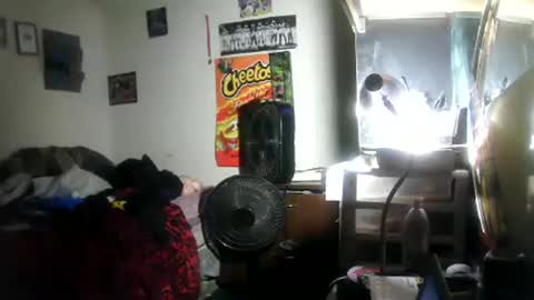 hbdj2164 online show from January 2026 05:44:01 AM