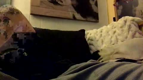 Snapshot of hbsethy chatting on January 2025 07:06:02 AM HBSethy online show from January 2025 07:06:02 AM