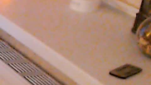 Heaven girl online show from January 2025 02:14:02 AM