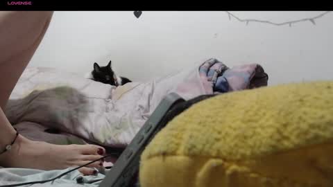 sofia online show from December 2025 01:48:02 AM