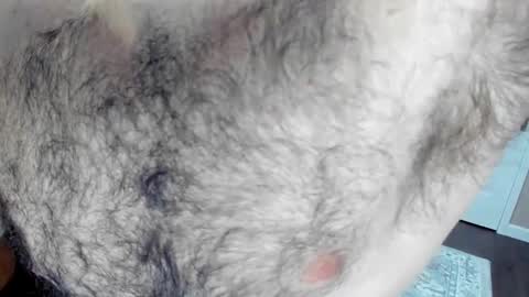 Wade Biggs online show from January 2025 02:15:01 AM