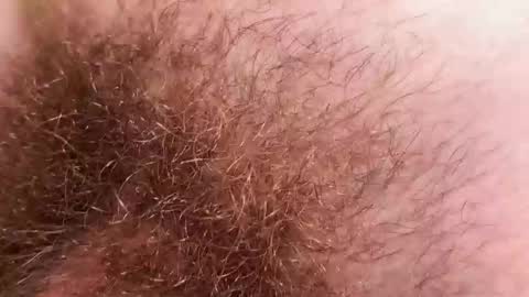 Arnold online show from December 2025 09:21:02 PM