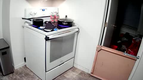 Highnesscali37 online show from December 2024 04:27:02 AM