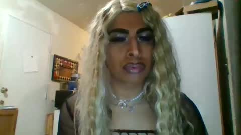 Snapshot of hihheelstranny chatting on February 2026 09:32:02 AM hihheelstranny online show from February 2026 09:32:02 AM