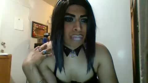 Snapshot of hihheelstranny chatting on March 2026 09:10:01 AM hihheelstranny online show from March 2026 09:10:01 AM