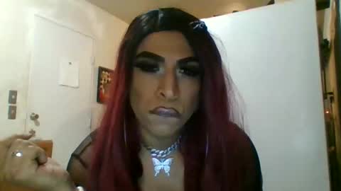 Snapshot of hihheelstranny chatting on April 2026 08:08:01 AM hihheelstranny online show from April 2026 08:08:01 AM