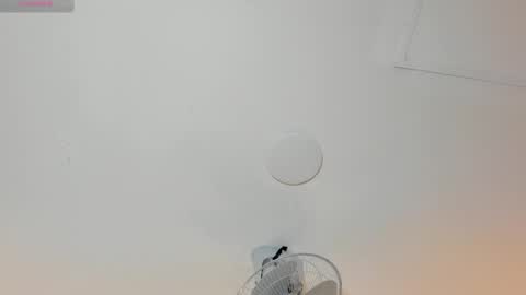 hilary_tailor online show from January 2026 11:04:01 AM