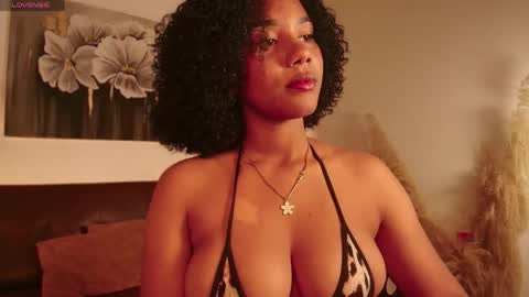 Snapshot of hilaryebony_ chatting on April 2026 07:58:01 PM - 29p online show from April 2026 07:58:01 PM