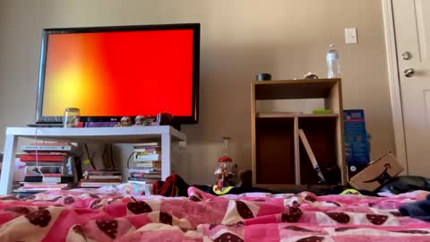 angelbabi online show from December 2024 08:07:02 PM