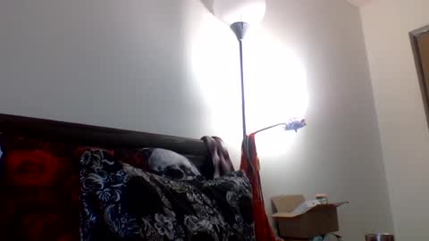 hippysnewhere online show from July 2026 11:46:02 PM