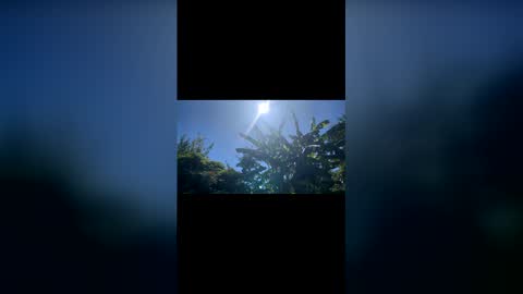 Snapshot of holabonaerense chatting on February 2026 06:44:02 PM Bonaerense online show from February 2026 06:44:02 PM