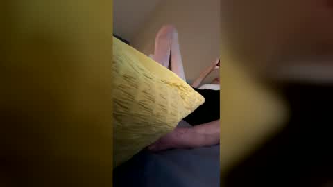 hole pig online show from February 2026 12:19:02 AM