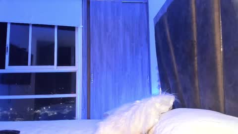 Snapshot of holly_29_m chatting on February 2025 03:29:02 AM Mara online show from February 2025 03:29:02 AM