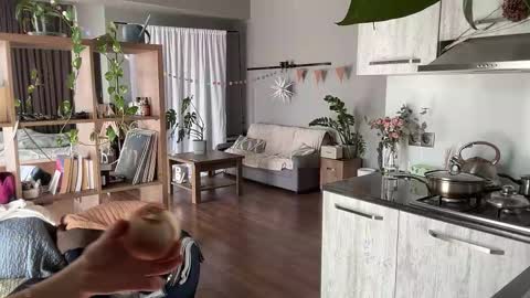 dori not holy get my tg channel with link from description under last photo online show from March 2026 10:08:02 AM