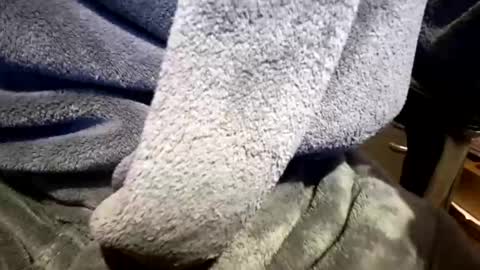 Neal online show from March 2026 02:21:02 PM