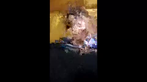 Snapshot of homer1234567890 chatting on March 2026 07:03:02 AM homer1234567890 online show from March 2026 07:03:02 AM