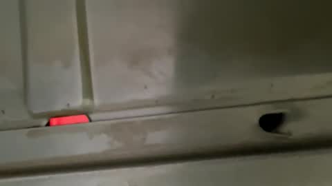 Snapshot of hondodeasy chatting on February 2026 02:16:02 PM hondodeasy online show from February 2026 02:16:02 PM