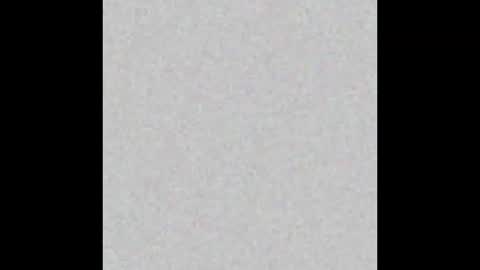 Snapshot of honeyvelourts chatting on February 2026 06:07:01 PM HoneyVelourTS online show from February 2026 06:07:01 PM