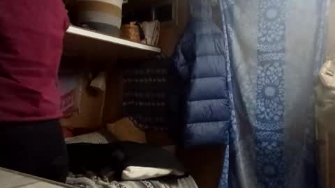 Snapshot of hoodoou chatting on February 2026 03:25:01 AM hoodoou online show from February 2026 03:25:01 AM