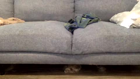 hornnnybwc online show from March 2026 04:23:01 PM