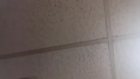 Dominick Subversal online show from February 2026 02:06:01 PM