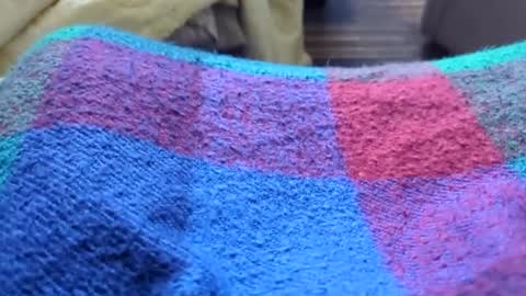 Tiny cock online show from January 2026 10:26:01 PM